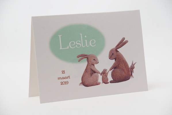 geboortekaartje leslie lichtgroen